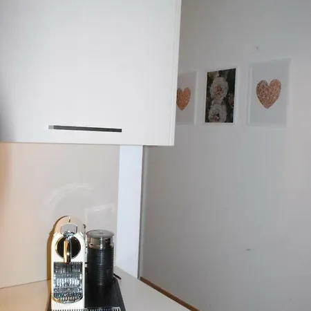 Ferienappartement Rheintal Apartment
