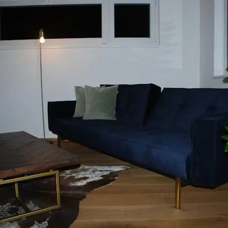 Apartment Ferienappartement Rheintal Meiningen